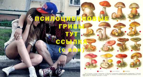 MDMA Premium VHQ Баксан