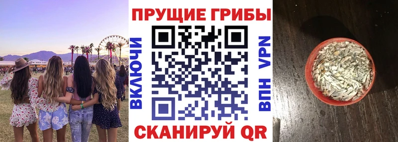 закладка Малмыж Галлюциногенные грибы прущие грибы
